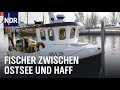 Zwischen Ostsee und Haff - Vom Überlebenskampf der letzten Fischer | Die Nordreportage | NDR