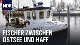 Zwischen Ostsee und Haff - Vom Überlebenskampf der letzten Fischer | Die Nordreportage | NDR