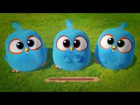 Angry birds...kızgın kuşlar... 11-22 bölümler...