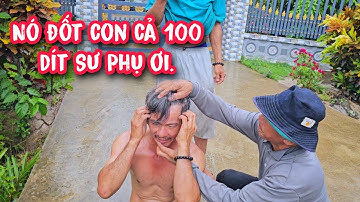 Đệ T.ử Vua Khỉ phải đi Bệnh Viện khi cưa cây Dừa tại Bến Tre.