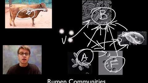 Cooperative Interactions