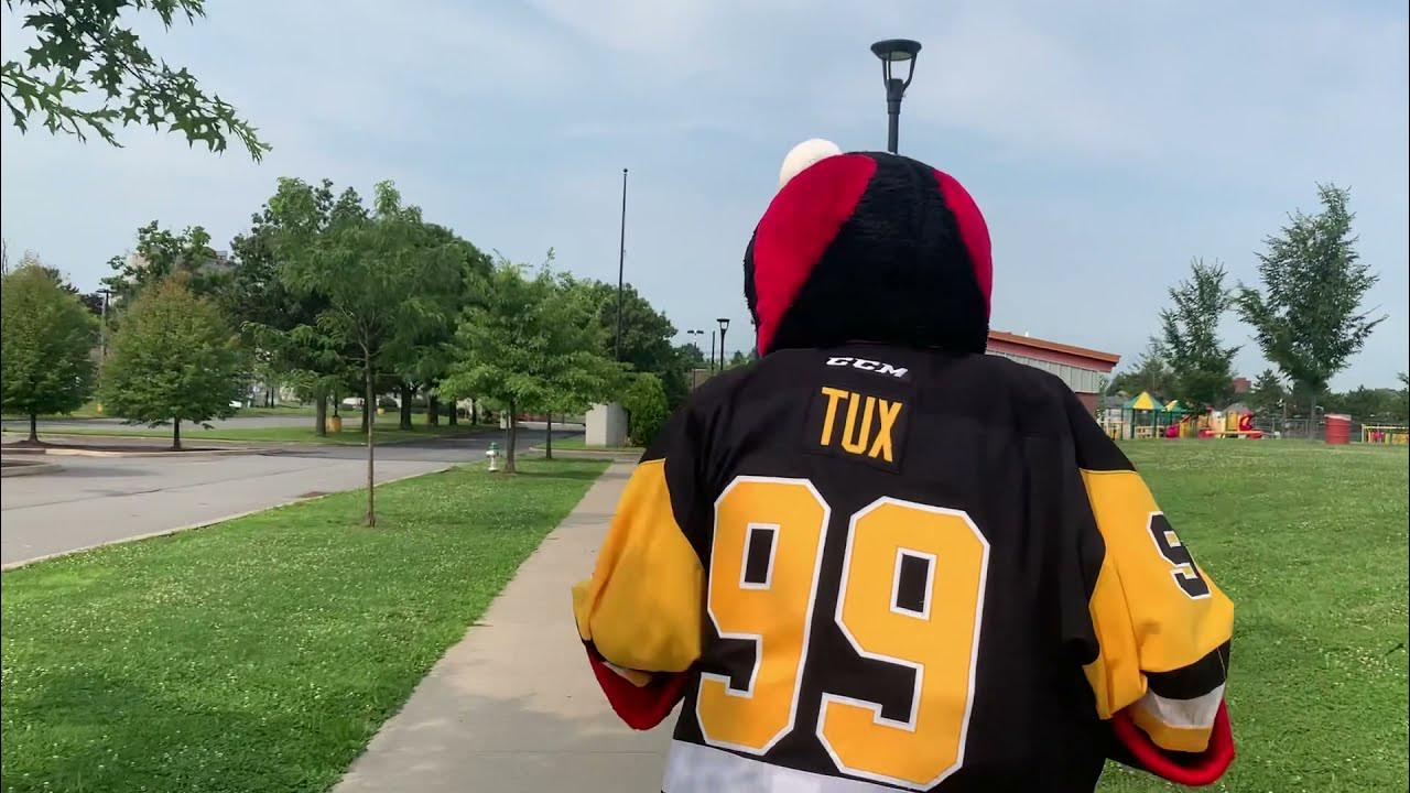 Meet Tux, the Wilkes-Barre/Scranton Penguin! – Bus League Hockey