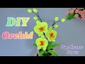 DIY Yellow Phalaenopsis Orchid with Pipe Cleaners 🌸✨ | Beginner-Friendly Tutorial