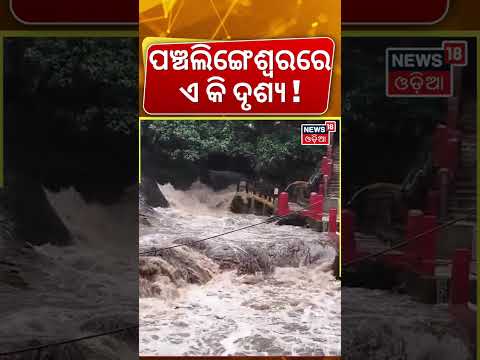 ପଞ୍ଚଲିଙ୍ଗେଶ୍ୱରରେ ଭଙ୍କର ସ୍ଥିତି | Flash Flood at Panchalingeswar Temple | Odisha Flood News |Odia News