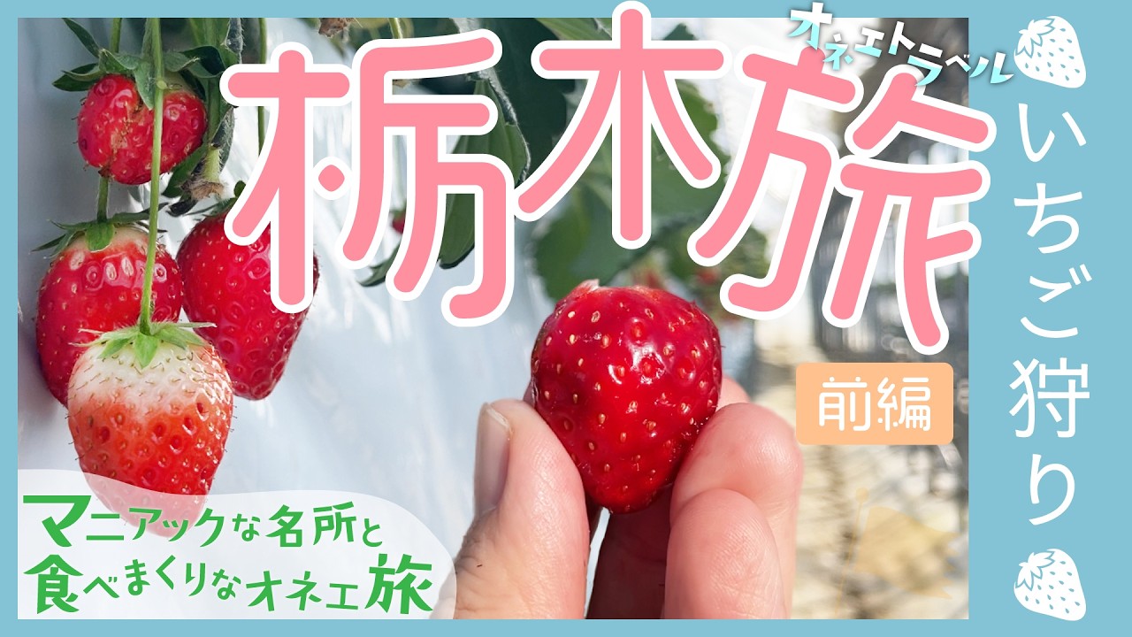 【ゲイカップル】栃木で食べまくり！最高級品種のいちご狩りに餃子・ラーメンで満腹旅！【3泊4日栃木県旅行 前編】