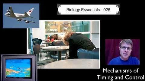 Mechanisms of Timing and Control