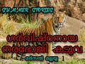 #വേട്ടക്കഥ #Hunting stories of Marsal Mallayya -ഗർവിഷ്ഠനായ #നരഭോജി #കടുവ