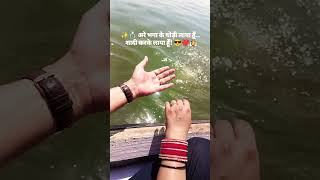 😎❤️👰‍♀️ #ShaadiVibes #JustMarried #PatiPatniGoals #CoupleLove #DesiWedding #MarriageDiaries#viral