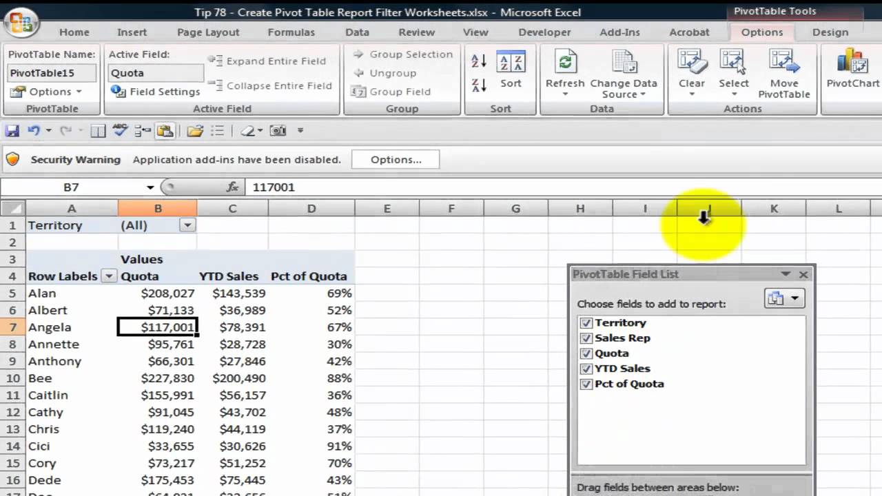 Multiple Reports From One Pivot Table