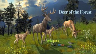 Deer of the Forest screenshot 3