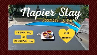 Our Napier Stay || Sunset Divine || A Must stay || ~290NZD/ Day || New Zealand Vlogs