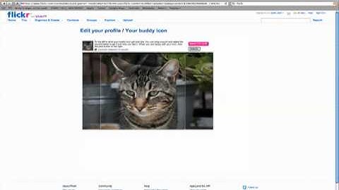 How to get started with FLICKR