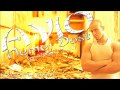 Avio - Neměj Dost (Produkce Wek Mack) (Official Music VIdeo in HD)
