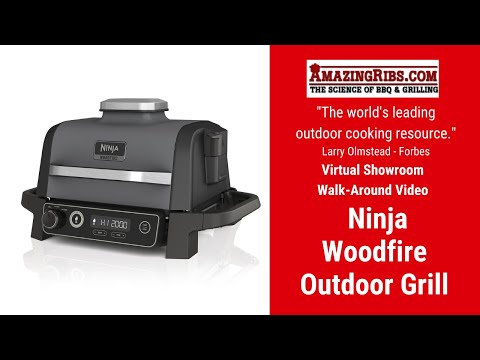 Ninja Woodfire Outdoor Grill Review: A Compact Cooker That Can Do It All,  with Smoke!