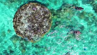 Bora Bora Lagoon Sea Views | Motu Tane | French Polynesia | Marcus Anthony &amp; Bob Hurwitz | Part 10