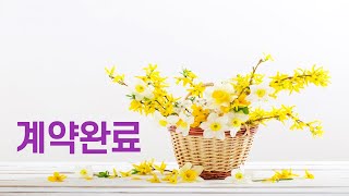 (매매완료)양양군 현남면 하월천리 계곡옆 토지 리더스공인중개사033-642-2830