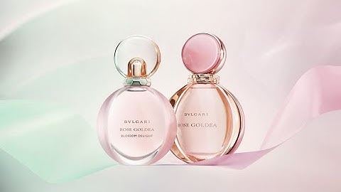 Đánh giá nước hoa bvlgari rose goldea năm 2024