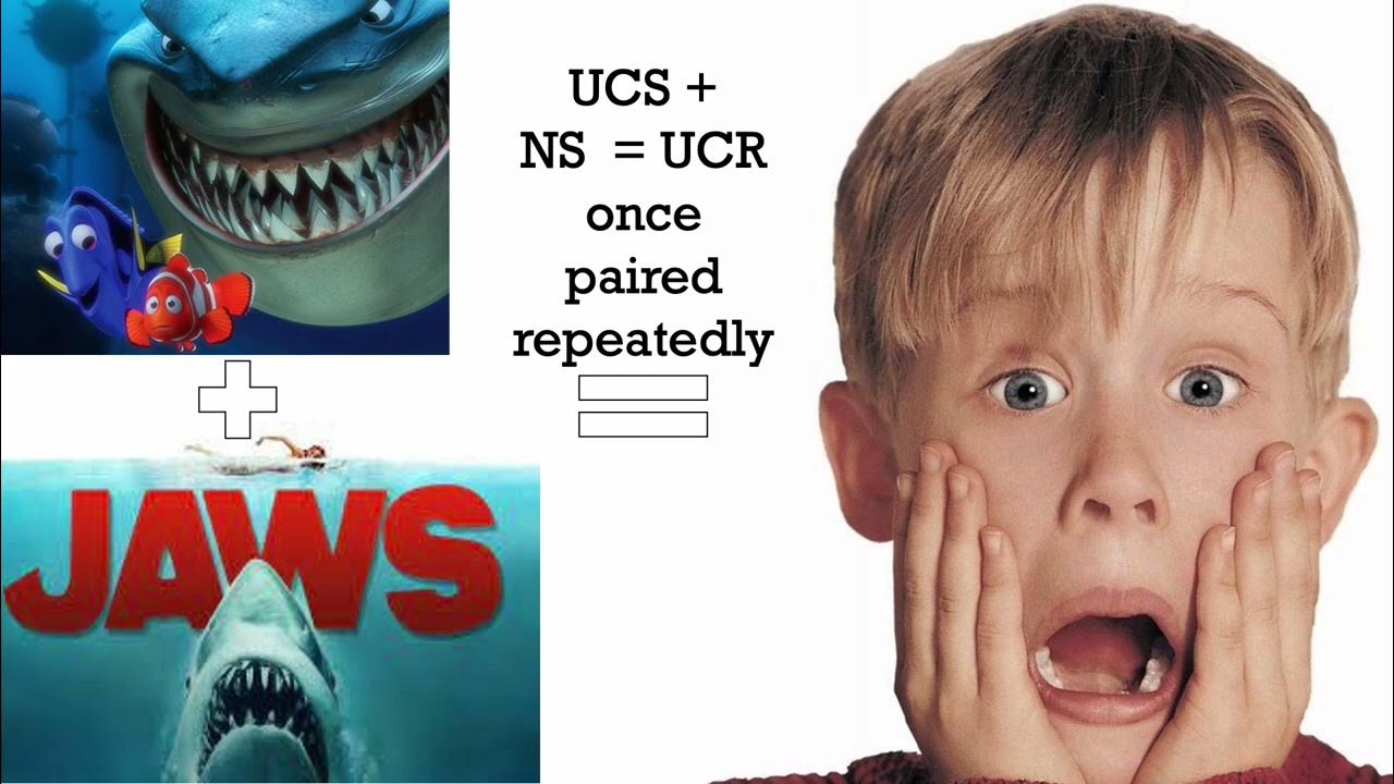 What Happens During The Process Of Extinction In Classical Conditioning