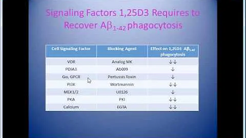 Dr. Mathew Mizwicki - Vitamin D & Alzheimer's Prev...