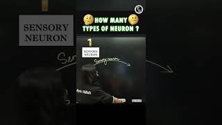Neurons कितने Types के होते हैं 🧐  #PW #DefenceWallah #Shorts