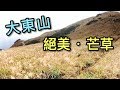 【香港－大嶼山】大東山 Sunset Peak｜絕美芒草．香港第三高山峰．跳板石．爛頭營．行山郊遊