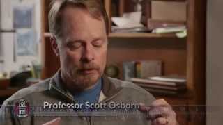Biological Engineering