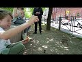 Питерские воробьи))