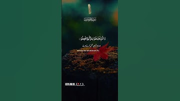 🇳🇪🄼🄰🅂🄷🄰 🄰🄻🄻🄰🄷🌹القرآن الكريم🌹 #اكسبلور #المصحف #duet #الرحمن #راحة_نفسية #嗡嗡嗡 #دويتو #لايك #colonelk