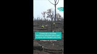 🔥 GALICIA | Comezan a instalar barreiras NATURAIS para que a CINZA non contamine a AUGA de consumo