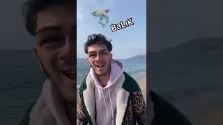 Sen Balık Köpegisini Görüğn ? 😂
