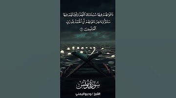 سورة يونس | Yūnus | آية 10 | الشيخ وديع اليمني