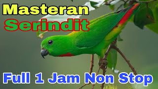 Masteran Serindit[Full 1 Jam Non Stop]‼️@rmbfchannel