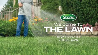 Welcome To The Lawn: How to Water Your Lawn
