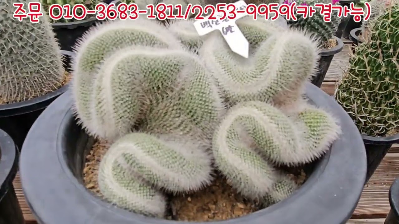 어서 오세요 어서요~지금바로!!