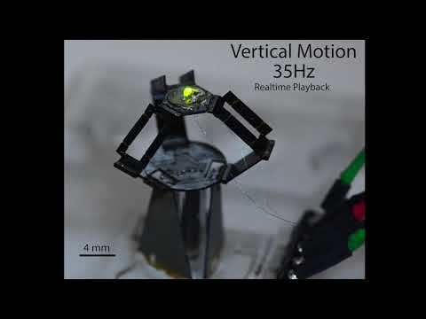 Harvard's milliDelta: A high-bandwidth, high-precision, millimeter-scale Delta robot