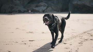 Gyroflow Plug-in - Testing the gyro stabilization on Sony A7SIII // Davinci Resolve + Sony 35mm f1.8