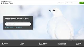 Birds of the World | Birding Tools & Resources