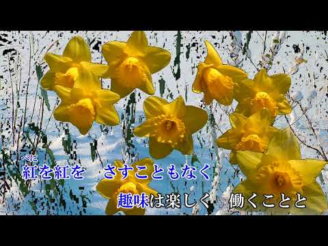 伍代夏子雪中花日本演歌カラオケオリジナル歌手中国語の訳文解說mp3