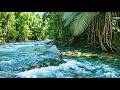 REAL RIVER SOUNDS WITH WIND, CALMING ASMR BACKGROUND FOR FOCUS &amp; PEACE