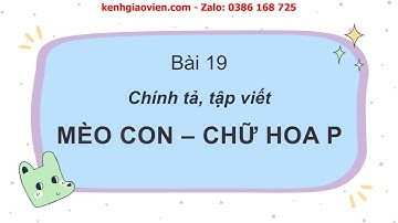 Giáo án powerpoint bài 19: Viết 1: Nghe viết: Mèo con - Chữ hoa P | GA Tiếng Việt 2 Cánh diều