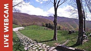 Preview of stream Webcam Live Rifugio Burigone (LU) - Garfagnana