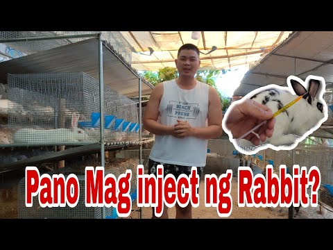 Video: Paano Mag-injection Ng Kuneho