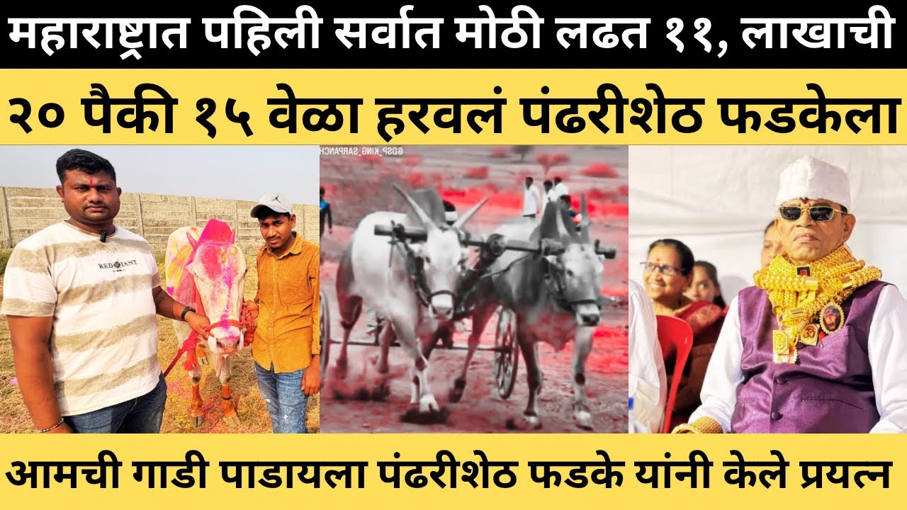 महाराष्ट्रात सर्वात पहिली व सर्वात मोठी रक्कमेची शर्यत ११,लाखाची आम्ही खेळली होती,पंढरीशेठ फडके सोबत
