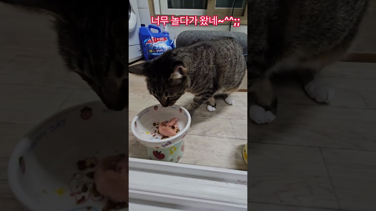 우리 딸 #휴일 #부산강서구 #구독 #좋아요 #감사합니다