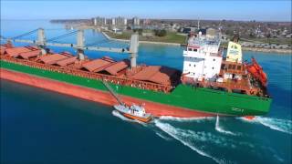 Wigeon - Upbound Port Huron, Michigan 4-17-2016