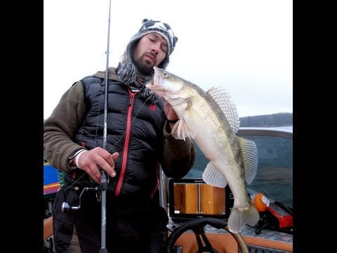 Подсекай чужого судака песня. Подсекай бобро. Подсекай магазин рыболовных. Подсекай чужого судака песня. Подсекай чужого судака песня.