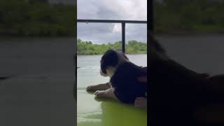 Life  Frozen Silence