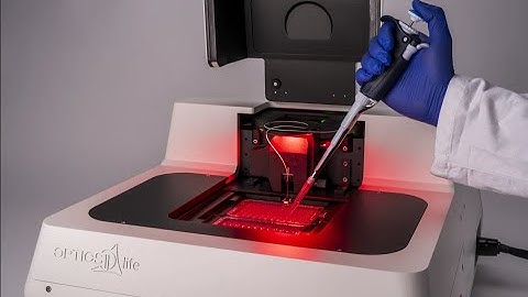 Pavone | a nanoindenter from Optics11 Life