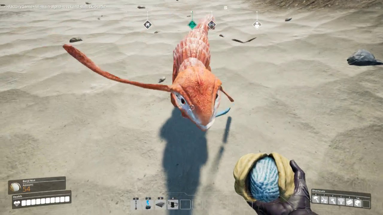 Lizard Doggo! (No sound)