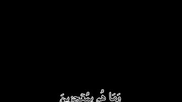 ابو جناد(من سورة الزمر)لاة التراويح الرقة مسجد ام سلمه 1436